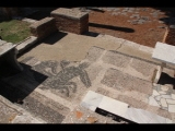 06660 ostia - regio iv - insula v - taberne dei pescivendoli (iv,v,1) - mosaik - li seite - aus sueden.jpg